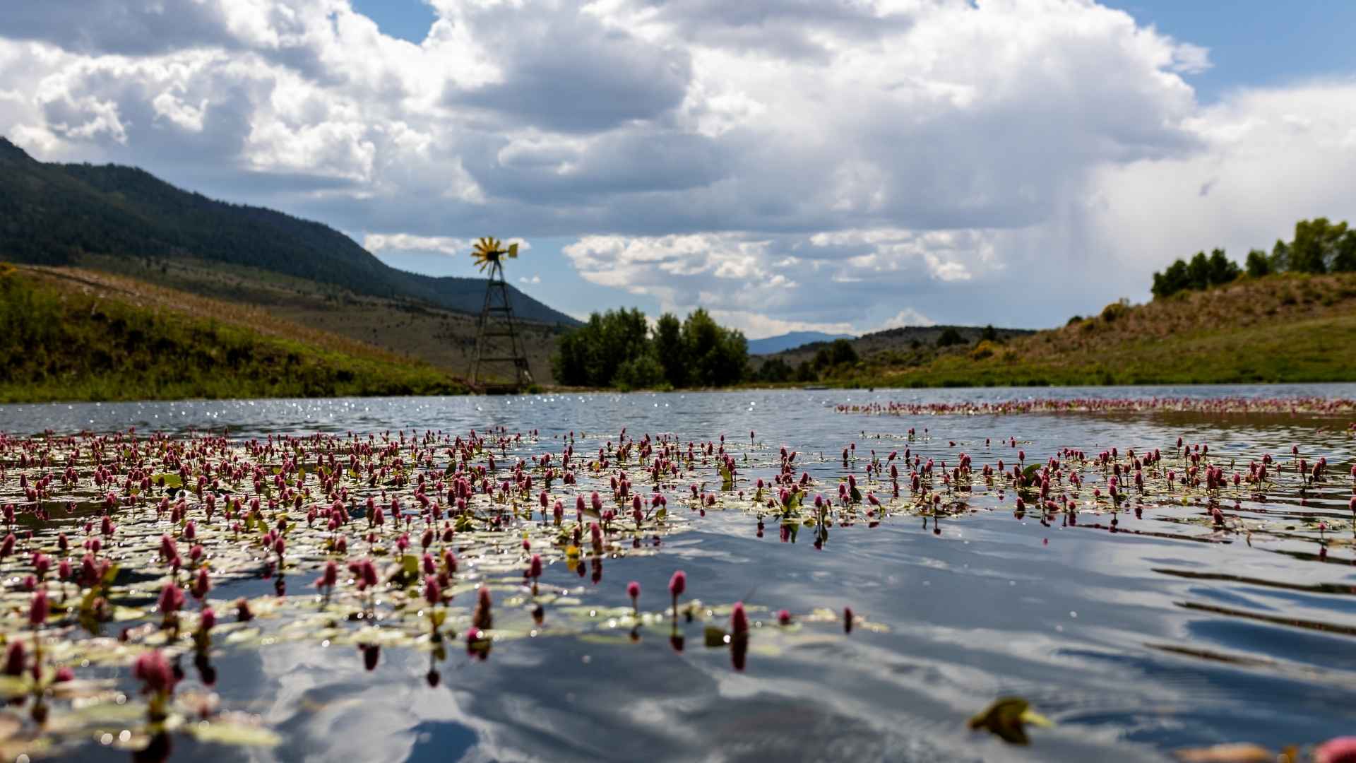 Private Kayaking in Colorado
