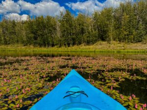 colorado glamping near lake