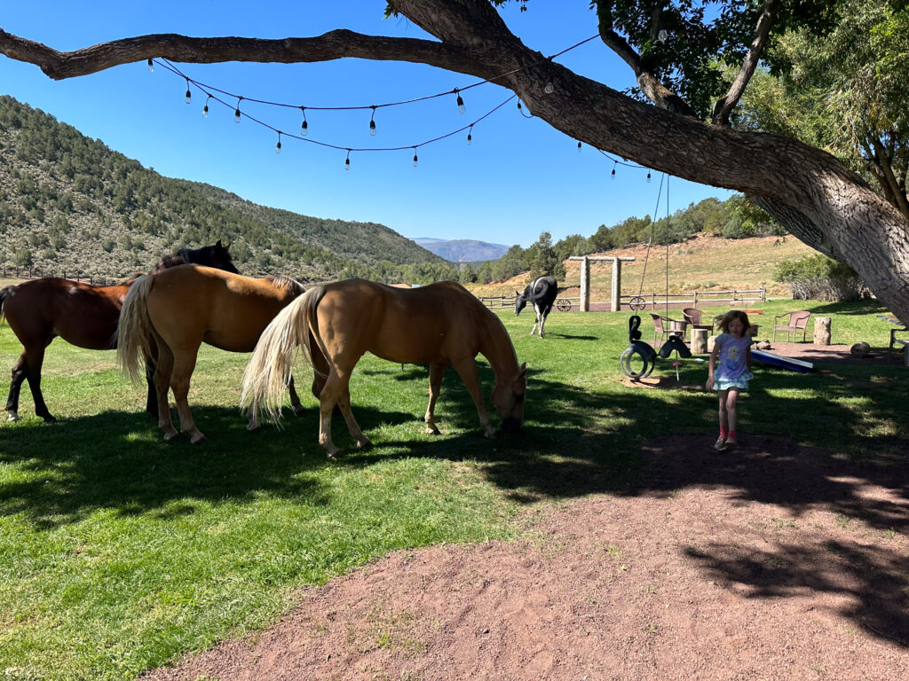 Family Friendly HorseBack Riding in Colorado
